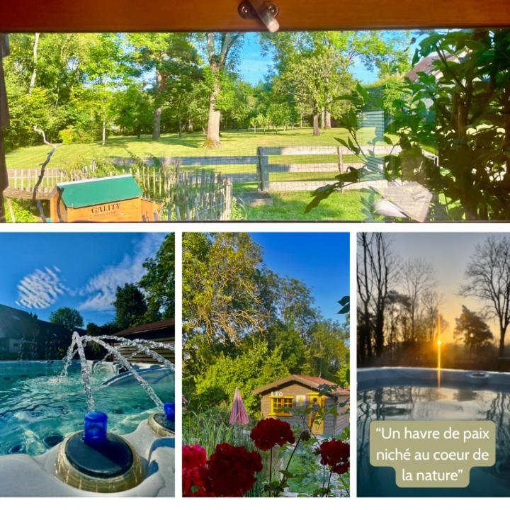 O Et Terre, Gite Ressourcement Bains Spa Cryo Sauna Et Foret Dormelles Esterno foto